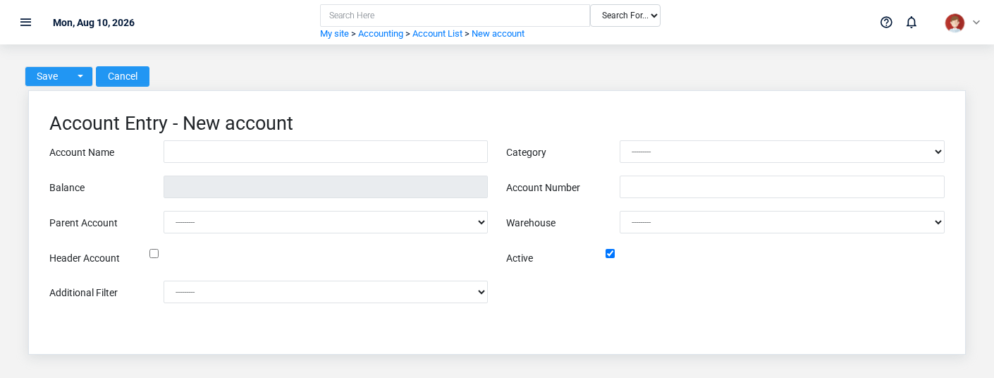 Brisk Accounts create screen displayed with fictional documentation-demo data.