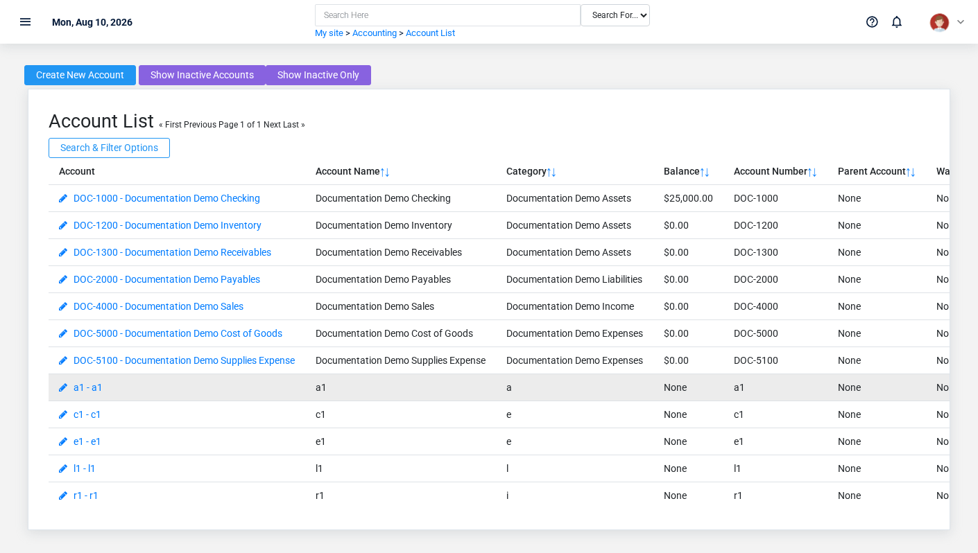 Brisk Accounts list screen displayed with fictional documentation-demo data.