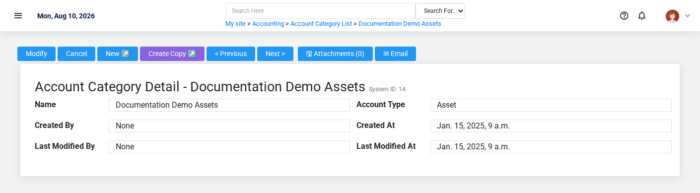 Brisk Account Categories detail screen displayed with fictional documentation-demo data.