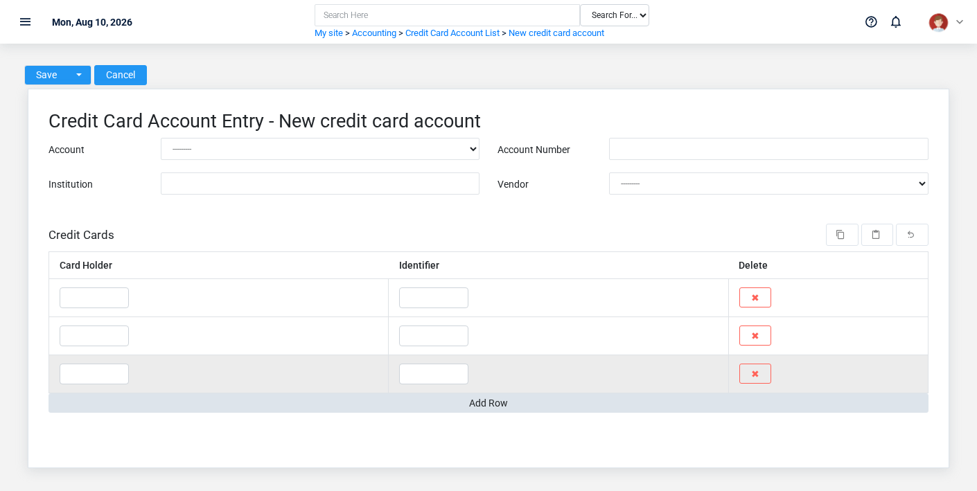 Brisk Credit Card Accounts create screen displayed with fictional documentation-demo data.