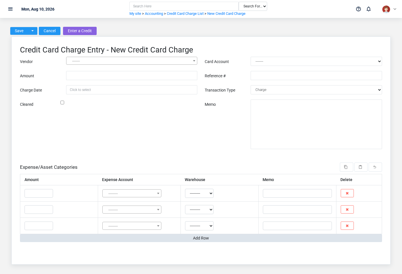 Brisk Credit Card Charges create screen displayed with fictional documentation-demo data.