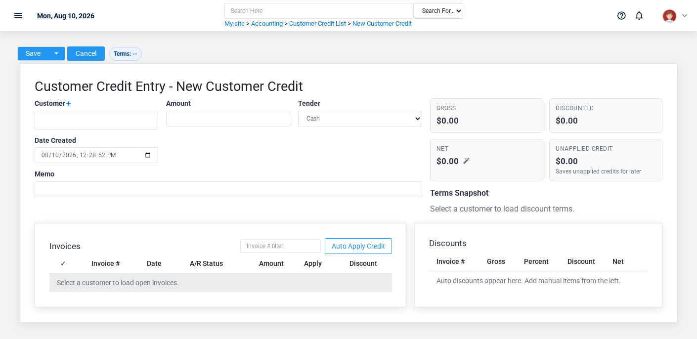 Brisk Customer Credits create screen displayed with fictional documentation-demo data.