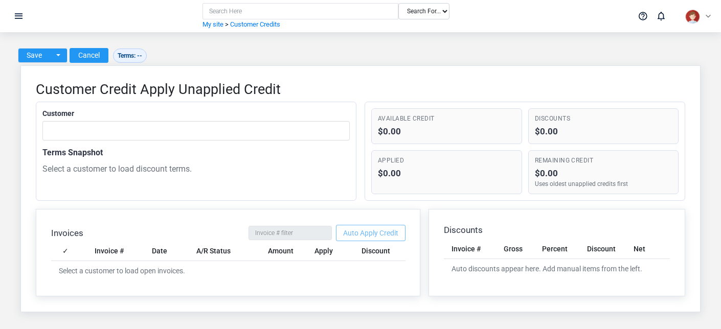 Brisk Customer Credits overview screen displayed with fictional documentation-demo data.