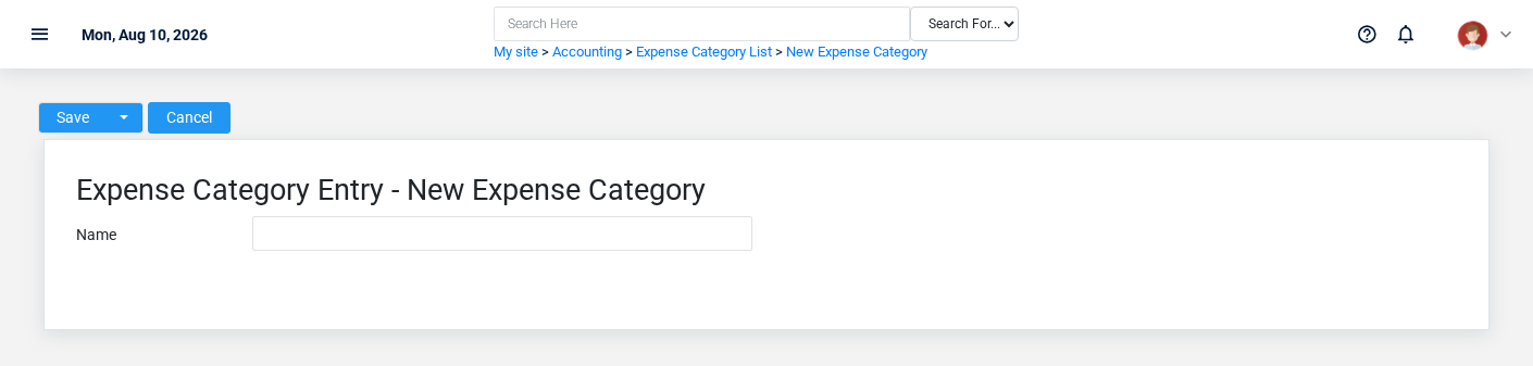Brisk Expense Categories create screen displayed with fictional documentation-demo data.
