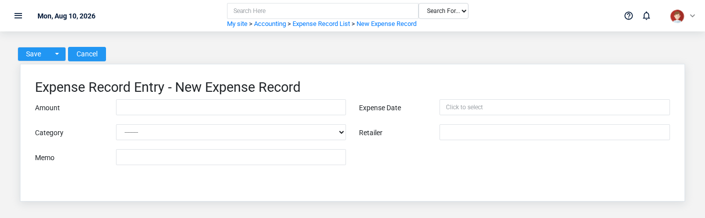Brisk Expense Records create screen displayed with fictional documentation-demo data.