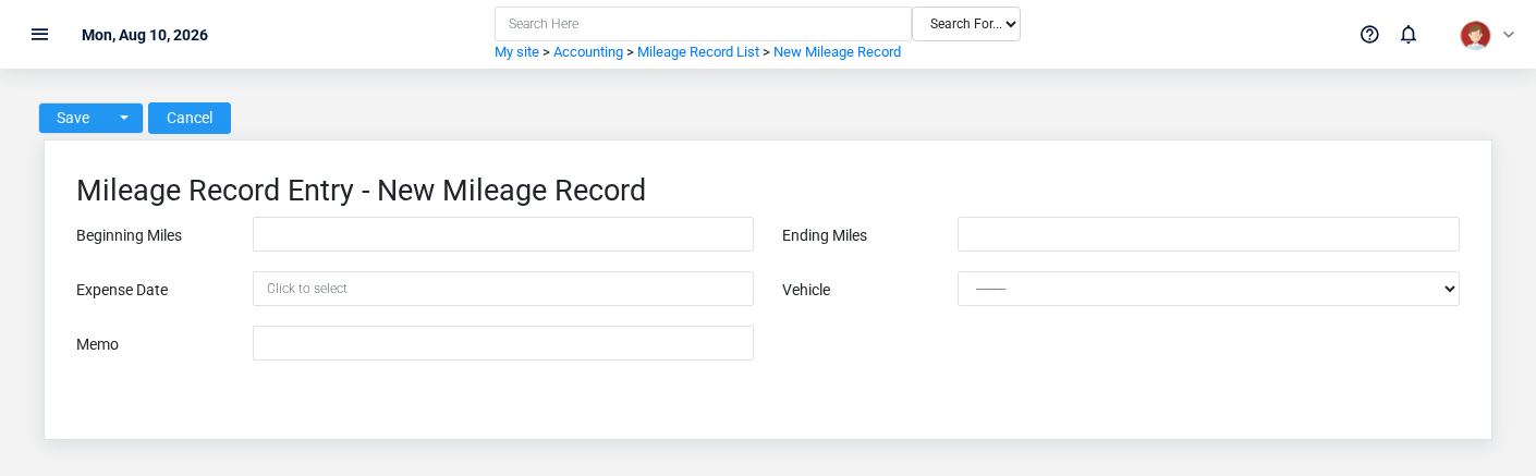 Brisk Mileage Records create screen displayed with fictional documentation-demo data.
