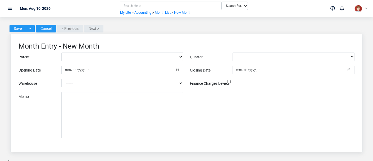 Brisk Months create screen displayed with fictional documentation-demo data.