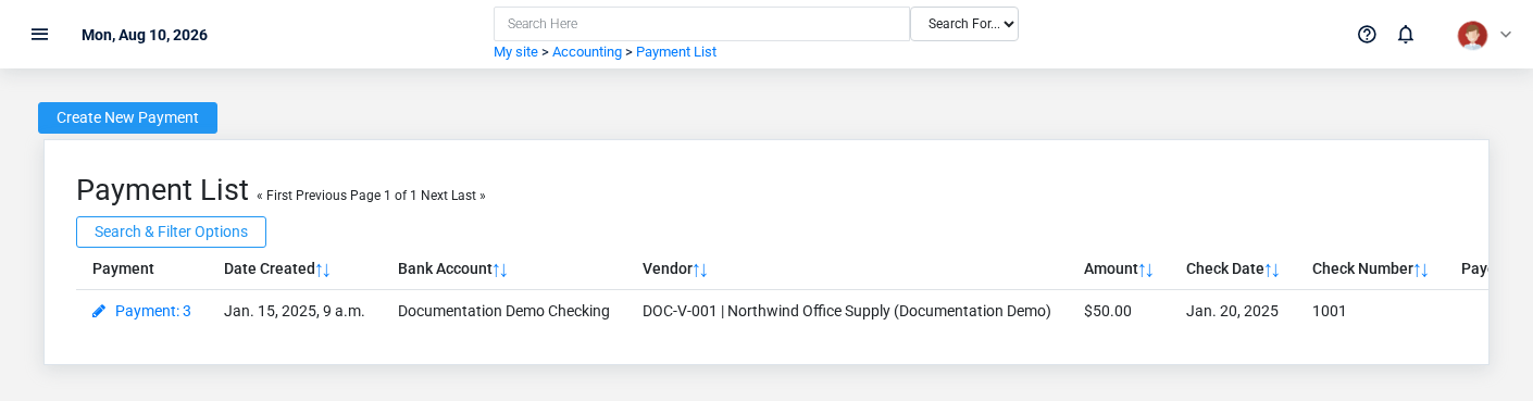 Brisk Payments list screen displayed with fictional documentation-demo data.