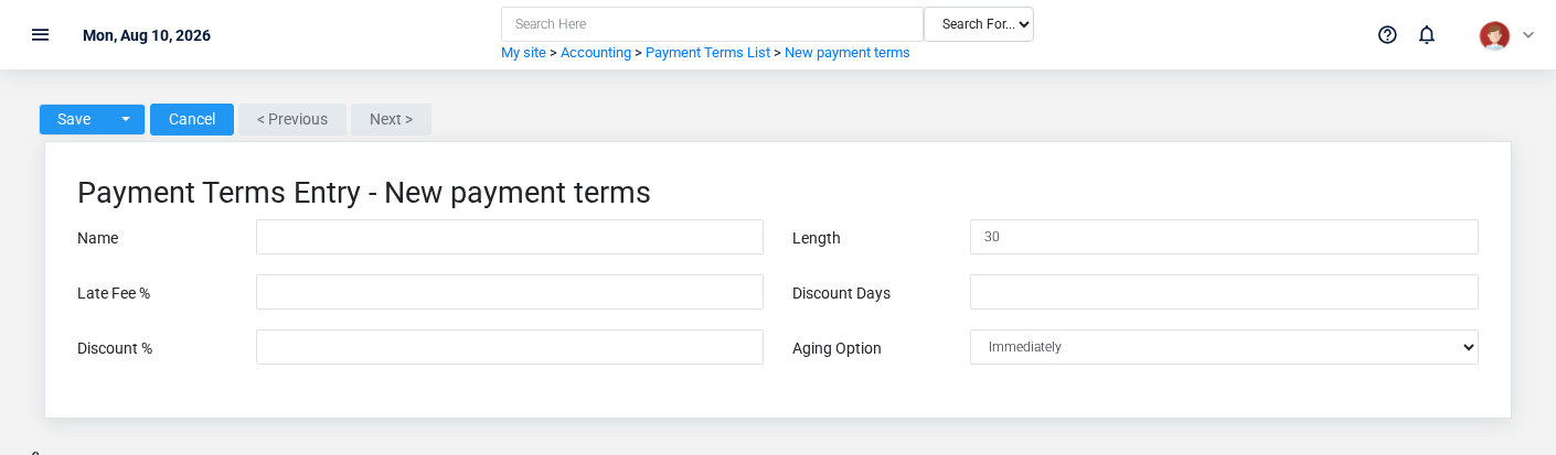 Brisk Payment Terms create screen displayed with fictional documentation-demo data.