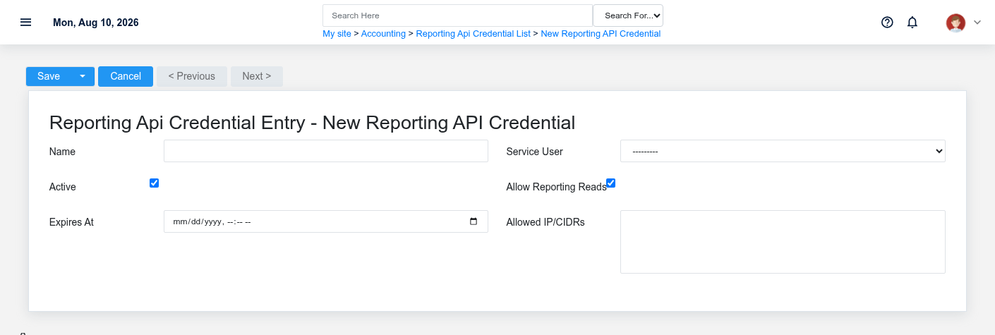 Brisk Reporting Api Credentials create screen displayed with fictional documentation-demo data.