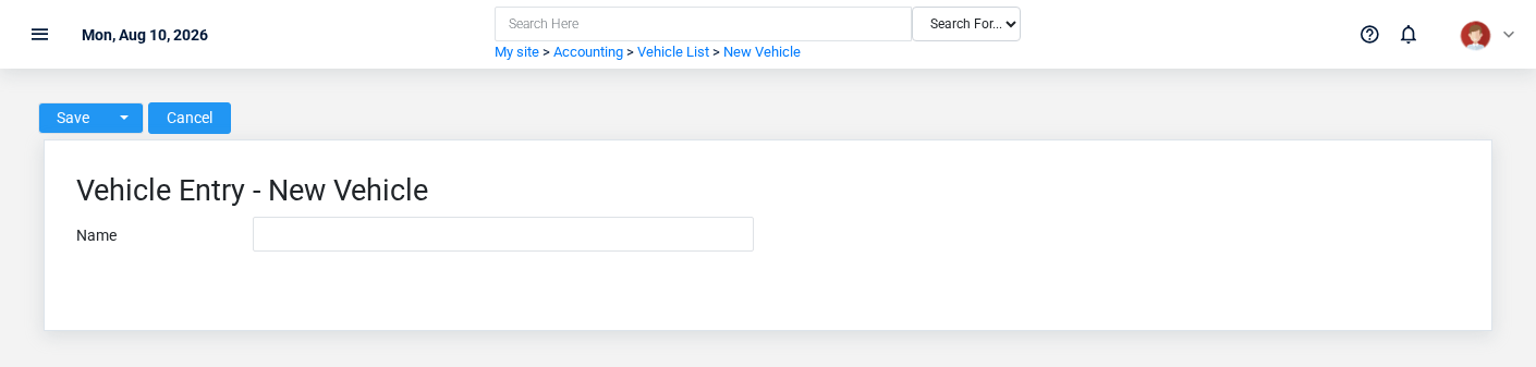 Brisk Vehicles create screen displayed with fictional documentation-demo data.