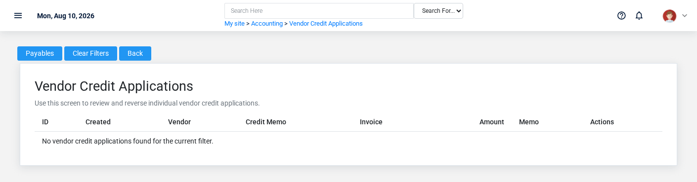 Brisk Vendor Credit Memo Applications list screen displayed with fictional documentation-demo data.