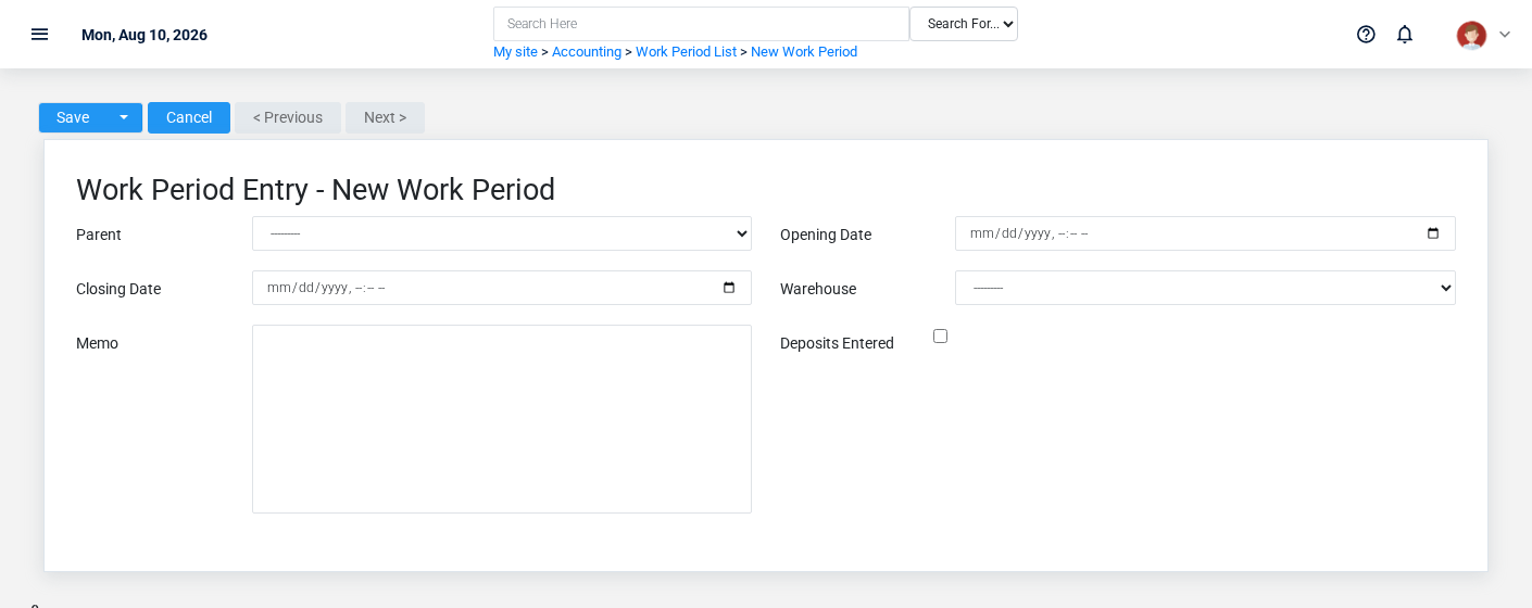 Brisk Work Periods create screen displayed with fictional documentation-demo data.