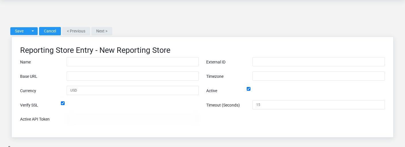 Brisk Reporting Stores create screen displayed with fictional documentation-demo data.
