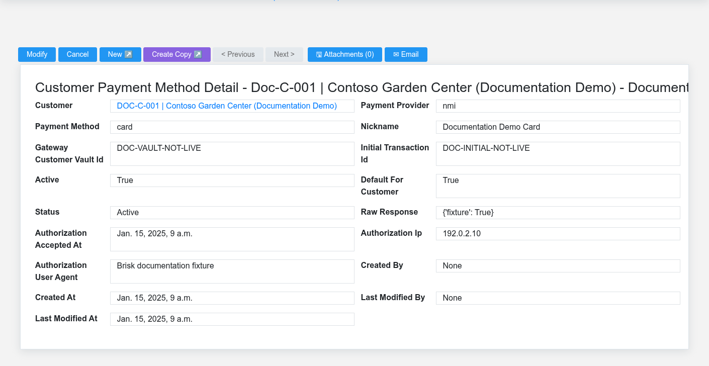 Brisk Customer Payment Methods detail screen displayed with fictional documentation-demo data.