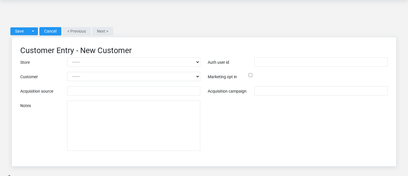 Brisk Customers create screen displayed with fictional documentation-demo data.