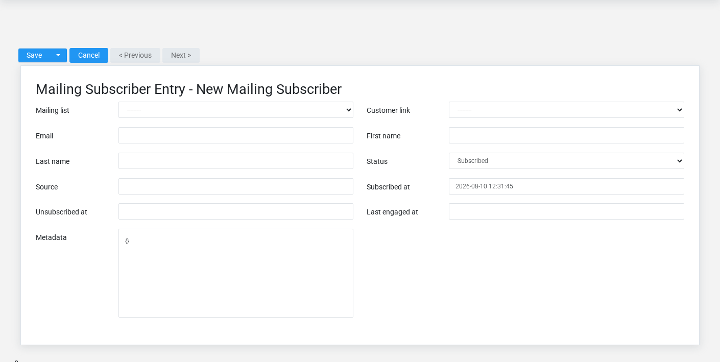 Brisk Mailing Subscribers create screen displayed with fictional documentation-demo data.