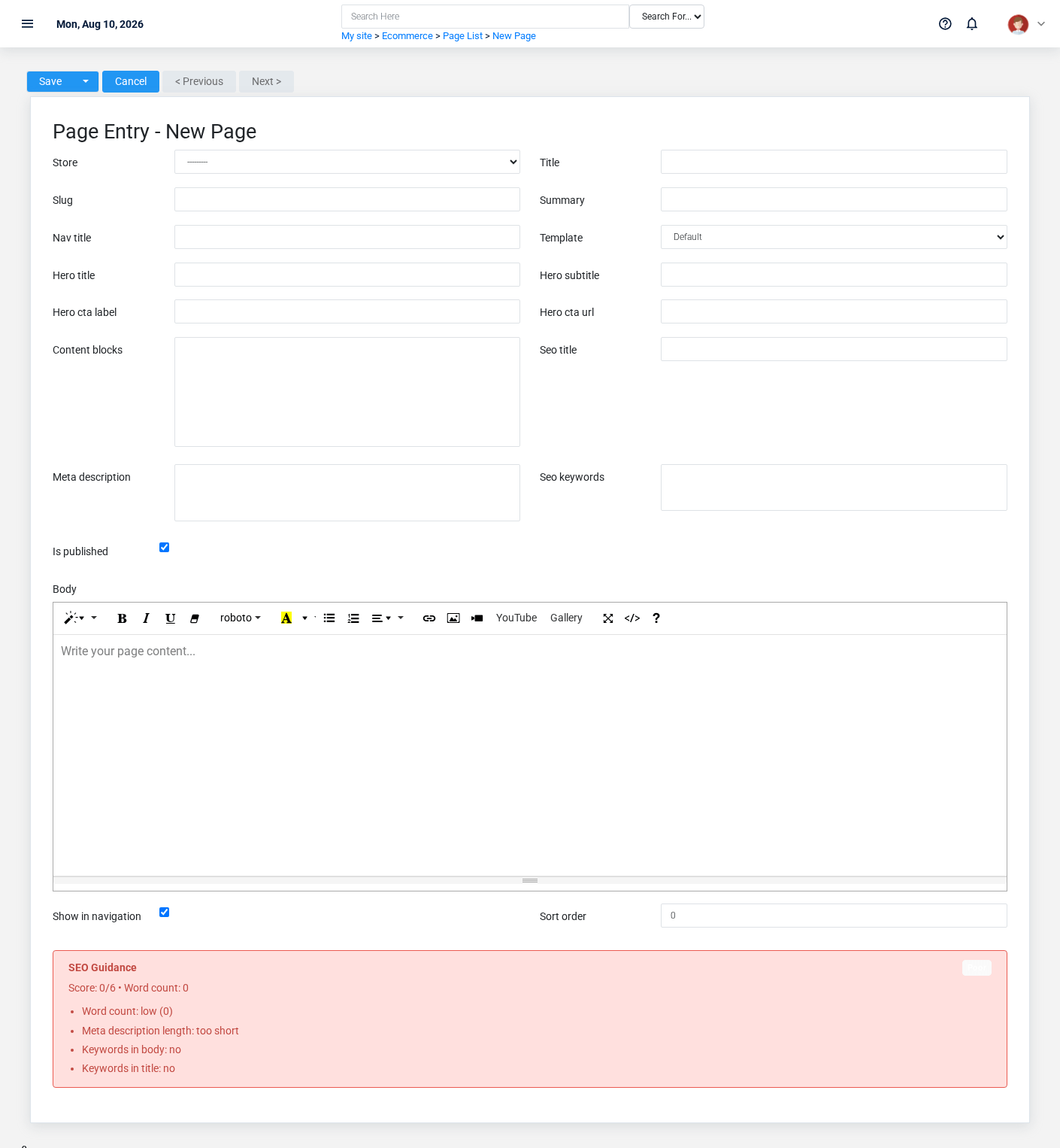 Brisk Pages create screen displayed with fictional documentation-demo data.