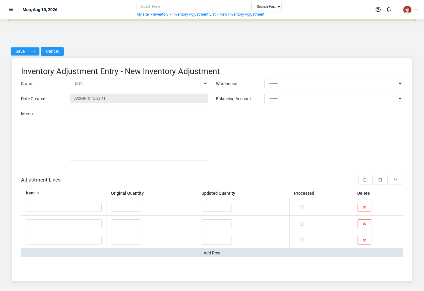 Brisk Inventory Adjustments create screen displayed with fictional documentation-demo data.