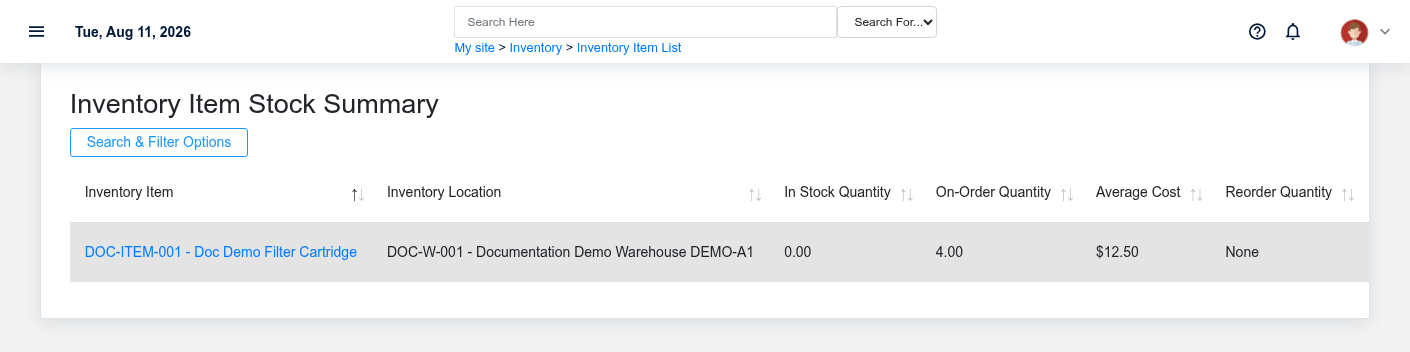 Stock Summary for fictional inventory item DOC-ITEM-001 at the documentation warehouse.