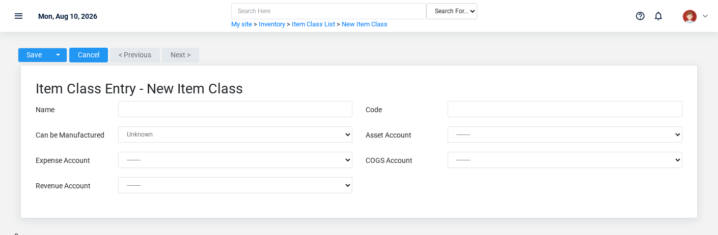 Brisk Item Classes create screen displayed with fictional documentation-demo data.