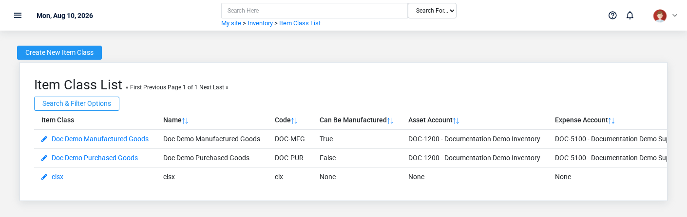Brisk Item Classes list screen displayed with fictional documentation-demo data.