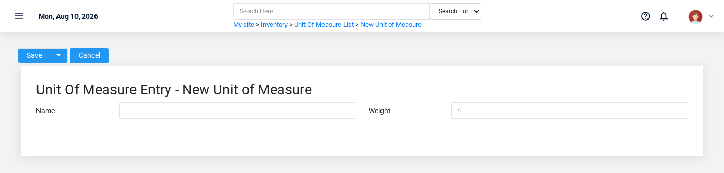 Brisk Units Of Measure create screen displayed with fictional documentation-demo data.