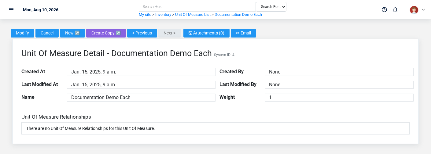Brisk Units Of Measure detail screen displayed with fictional documentation-demo data.