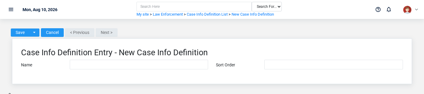 Brisk Case Info Definitions create screen displayed with fictional documentation-demo data.