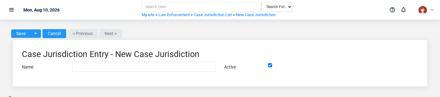 Brisk Case Jurisdictions create screen displayed with fictional documentation-demo data.