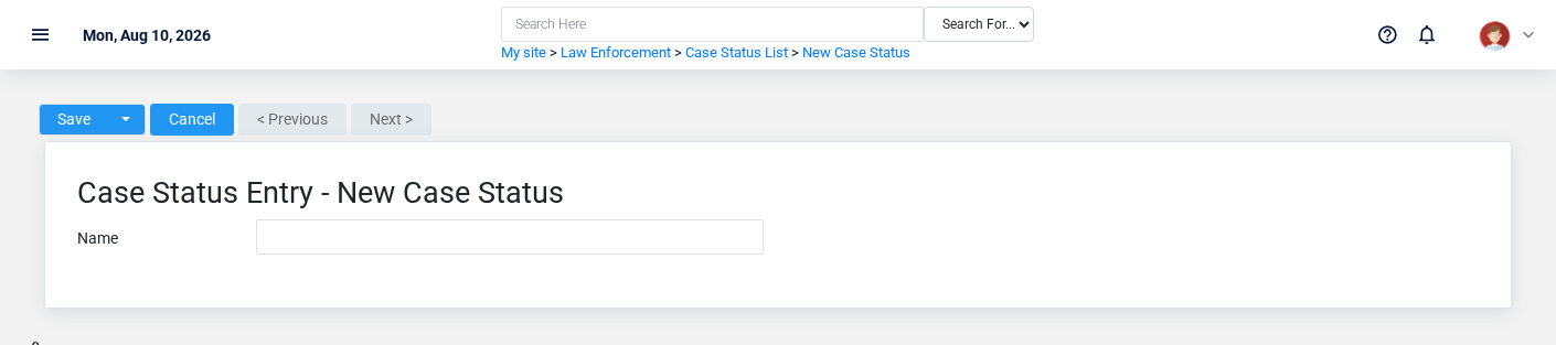 Brisk Case Statuses create screen displayed with fictional documentation-demo data.