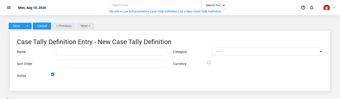 Brisk Case Tally Definitions create screen displayed with fictional documentation-demo data.