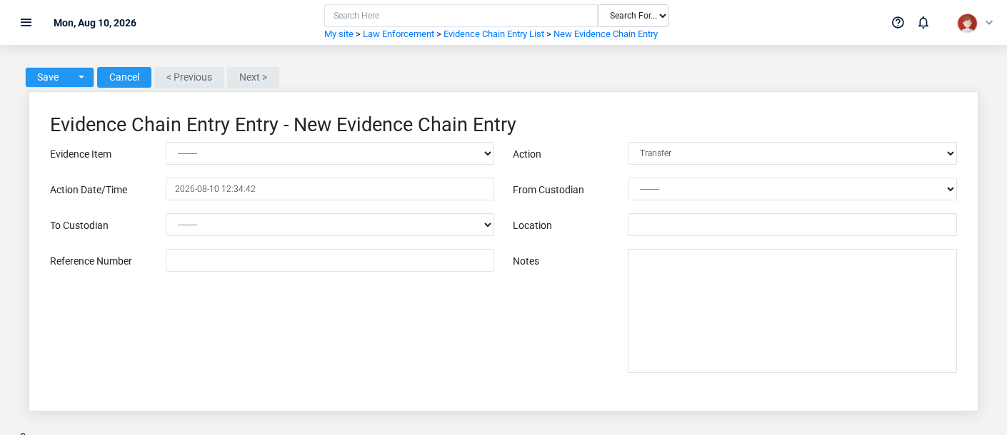 Brisk Evidence Chain Entries create screen displayed with fictional documentation-demo data.