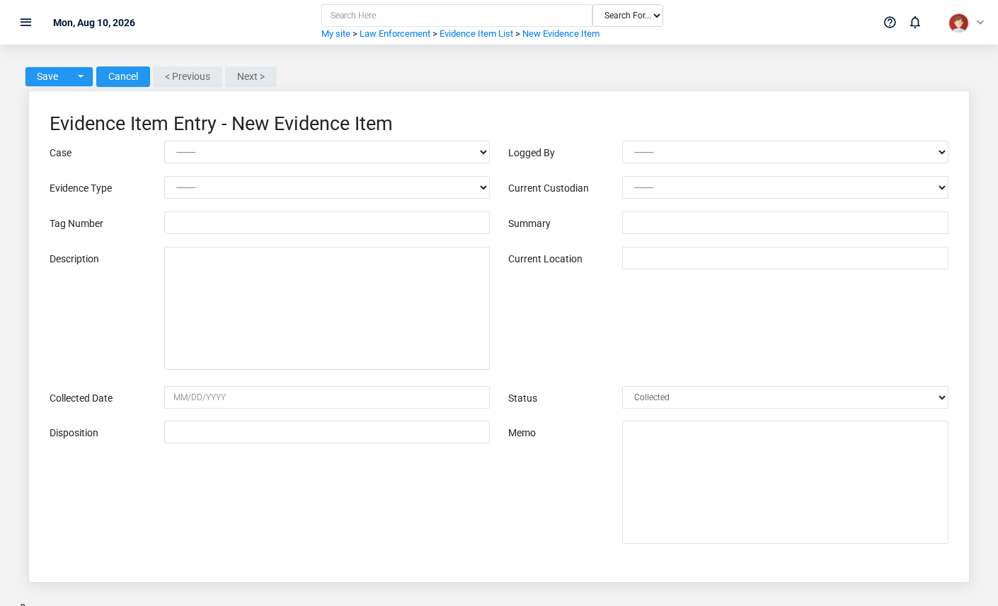 Brisk Evidence Items create screen displayed with fictional documentation-demo data.