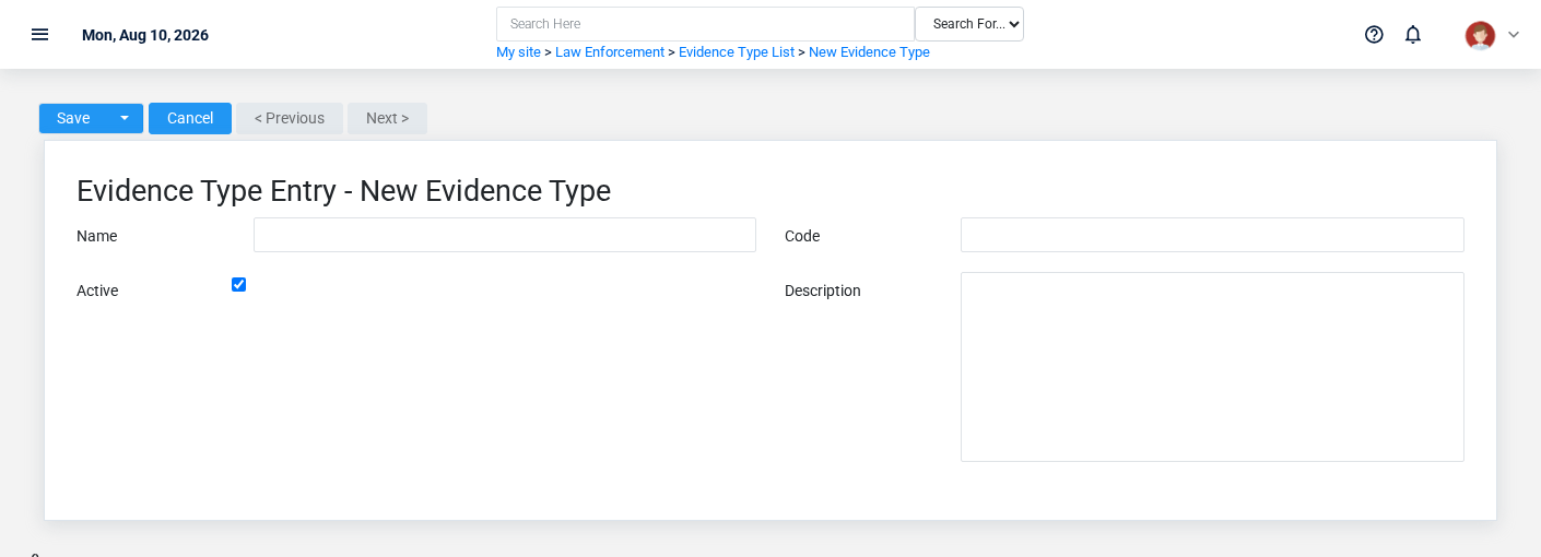 Brisk Evidence Types create screen displayed with fictional documentation-demo data.