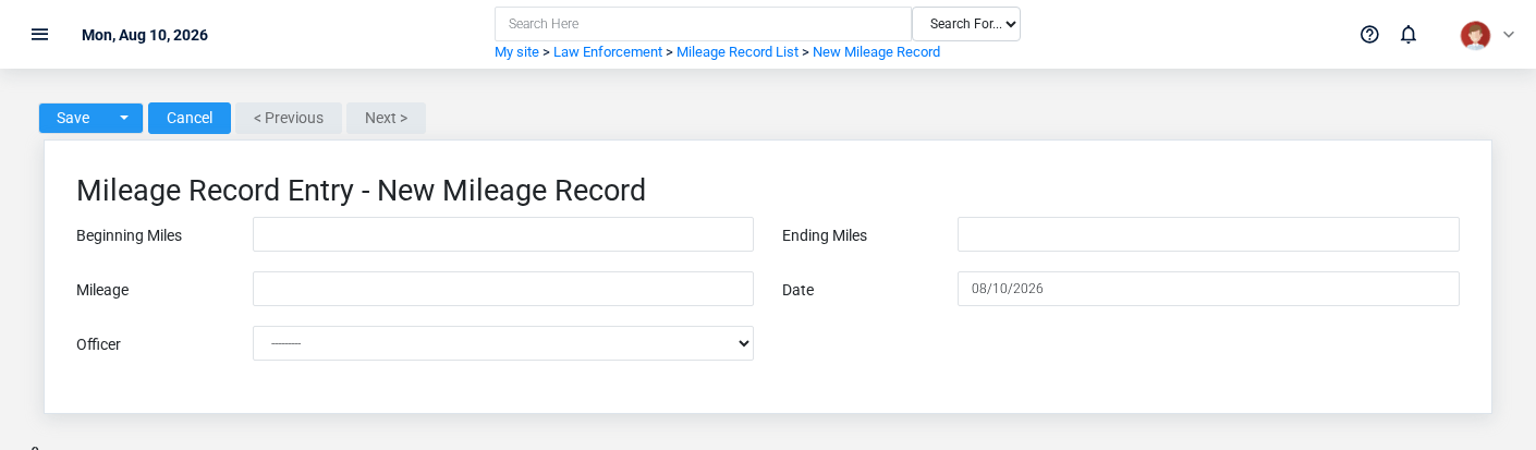Brisk Mileage Records create screen displayed with fictional documentation-demo data.