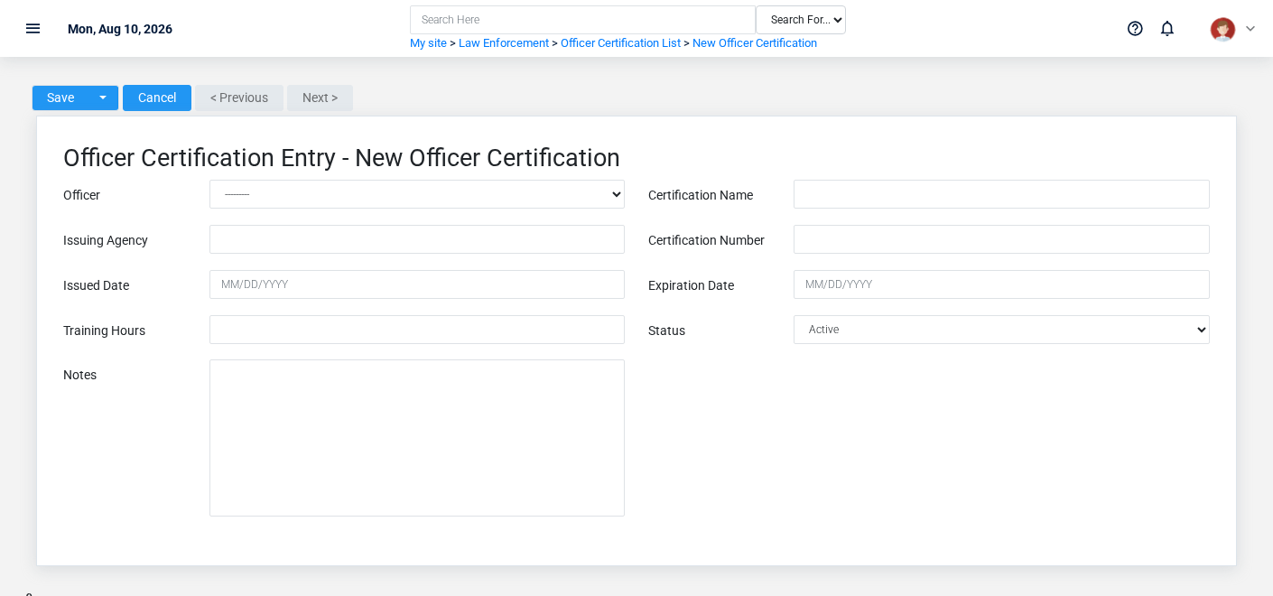 Brisk Officer Certifications create screen displayed with fictional documentation-demo data.