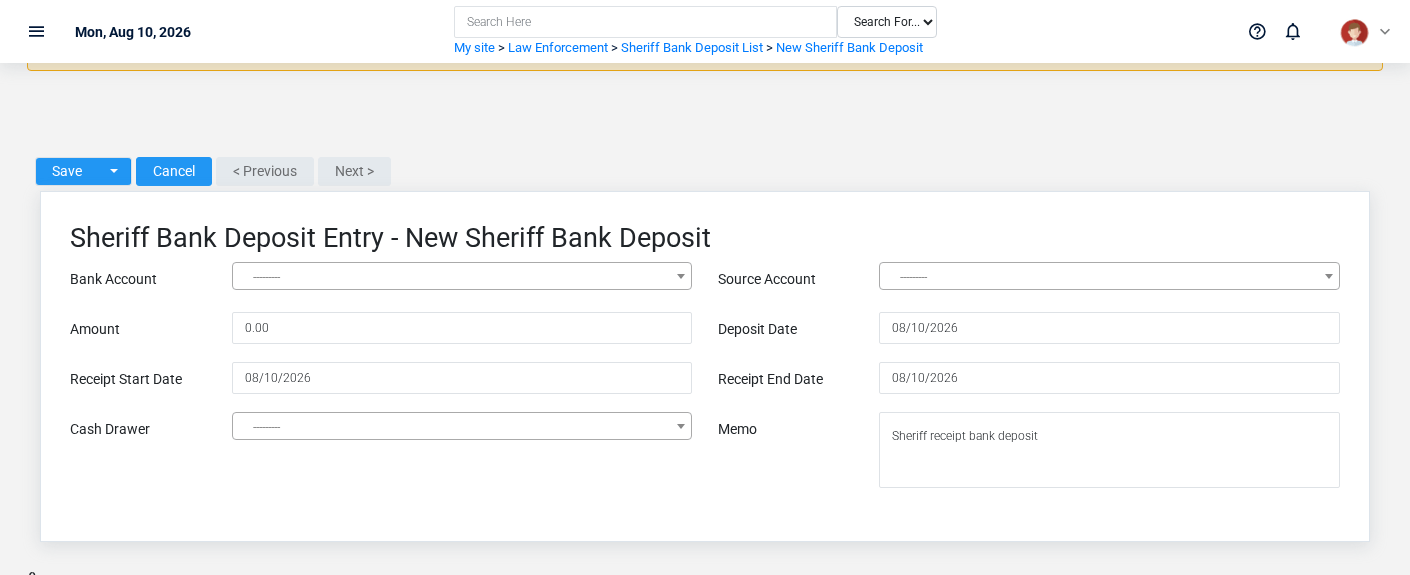 Brisk Sheriff Bank Deposits create screen displayed with fictional documentation-demo data.