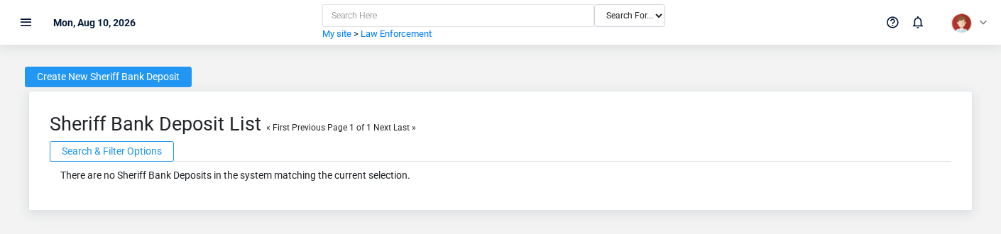 Brisk Sheriff Bank Deposits list screen displayed with fictional documentation-demo data.