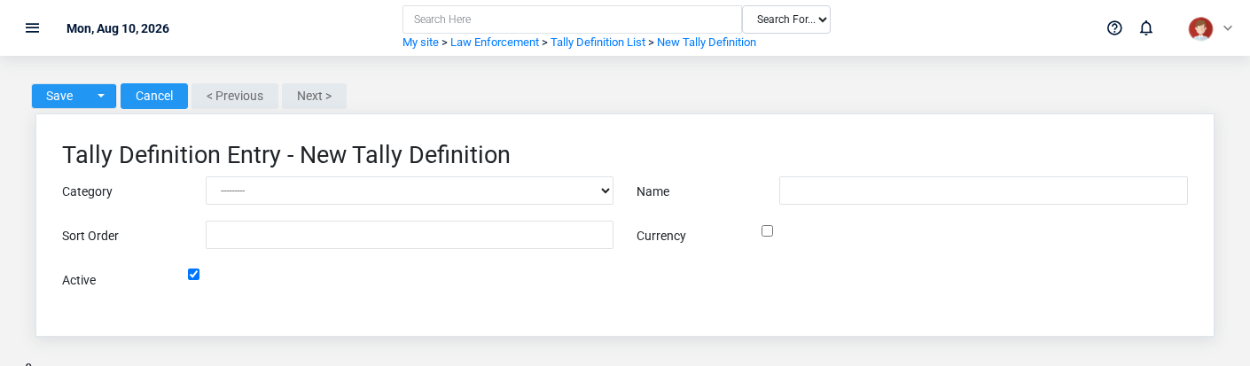 Brisk Tally Definitions create screen displayed with fictional documentation-demo data.