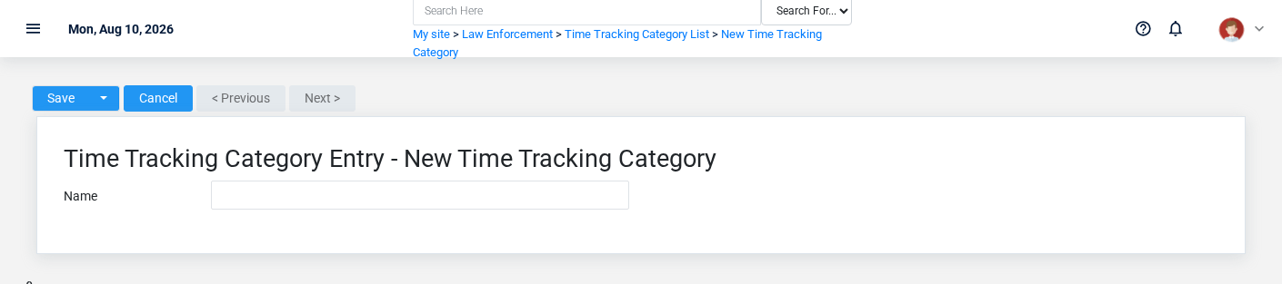 Brisk Time Tracking Categories create screen displayed with fictional documentation-demo data.