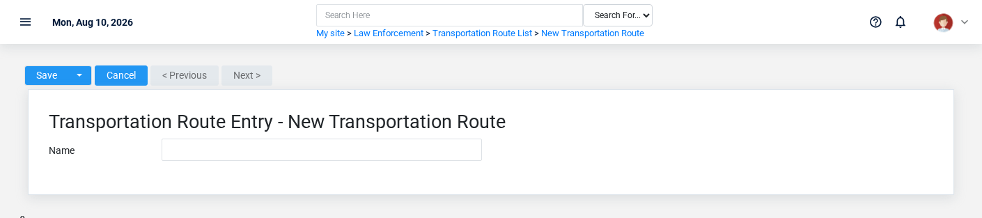 Brisk Transportation Routes create screen displayed with fictional documentation-demo data.