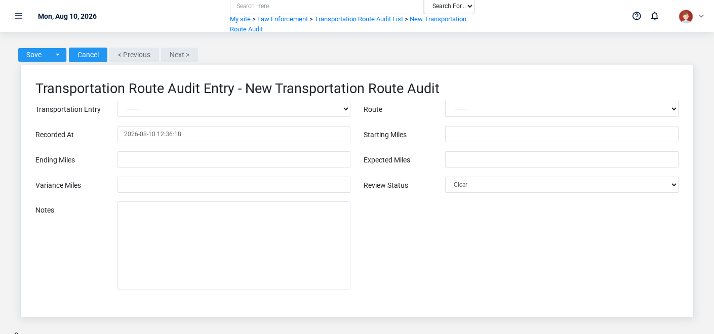 Brisk Transportation Route Audits create screen displayed with fictional documentation-demo data.