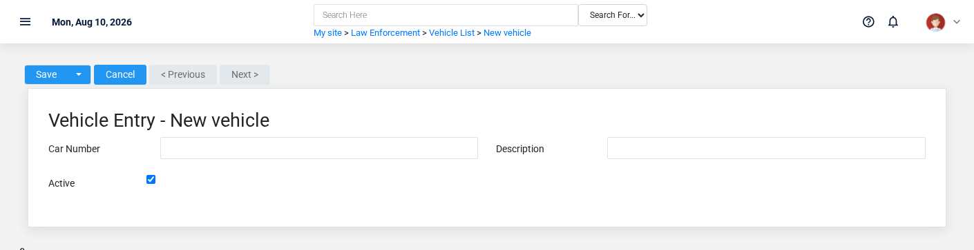 Brisk Vehicles create screen displayed with fictional documentation-demo data.