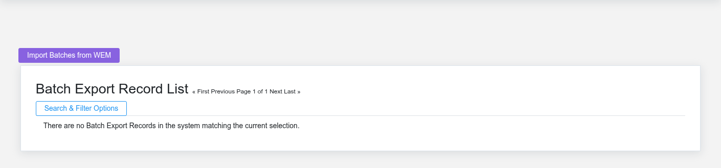 Brisk Batch Export Records list screen displayed with fictional documentation-demo data.
