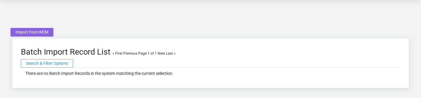 Brisk Batch Import Records list screen displayed with fictional documentation-demo data.