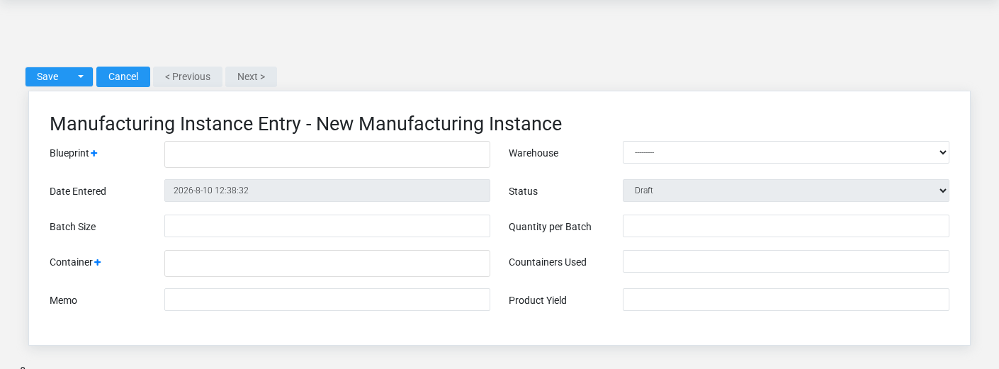 Brisk Manufacturing Instances create screen displayed with fictional documentation-demo data.