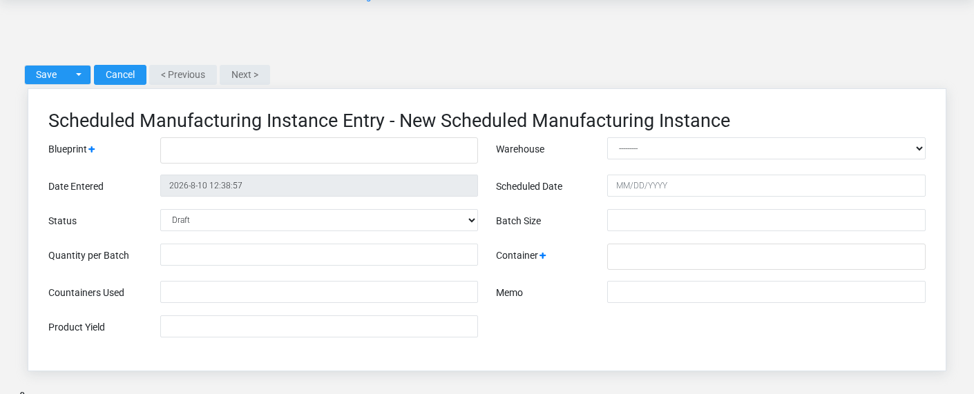 Brisk Scheduled Manufacturing Instances create screen displayed with fictional documentation-demo data.