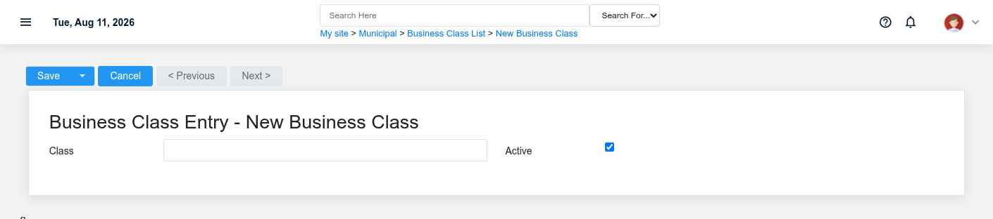 Brisk Business Classes create screen displayed with fictional documentation-demo data.