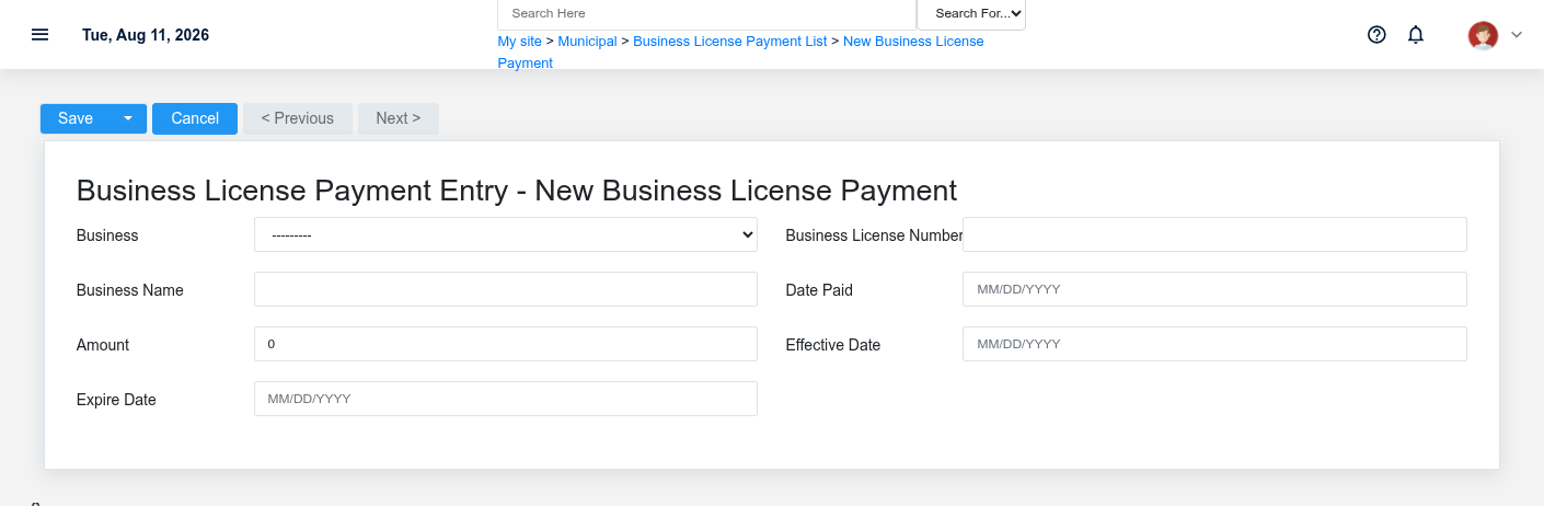 Brisk Business License Payments create screen displayed with fictional documentation-demo data.